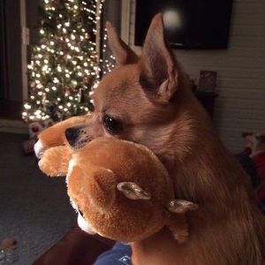 Meet your Posher, Patricia